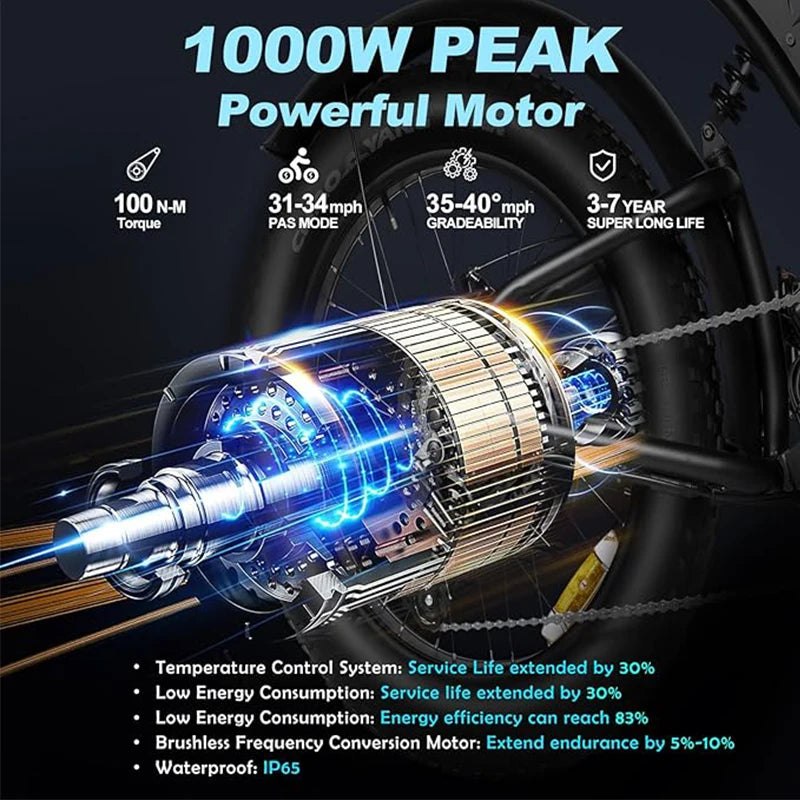 20 inch Mountain off-road Adult Electric Bike