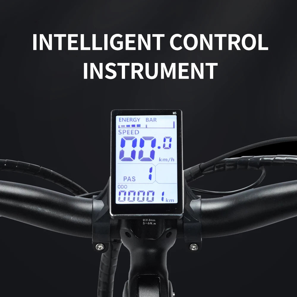 Ridstar Winner Folding Electric Bike
