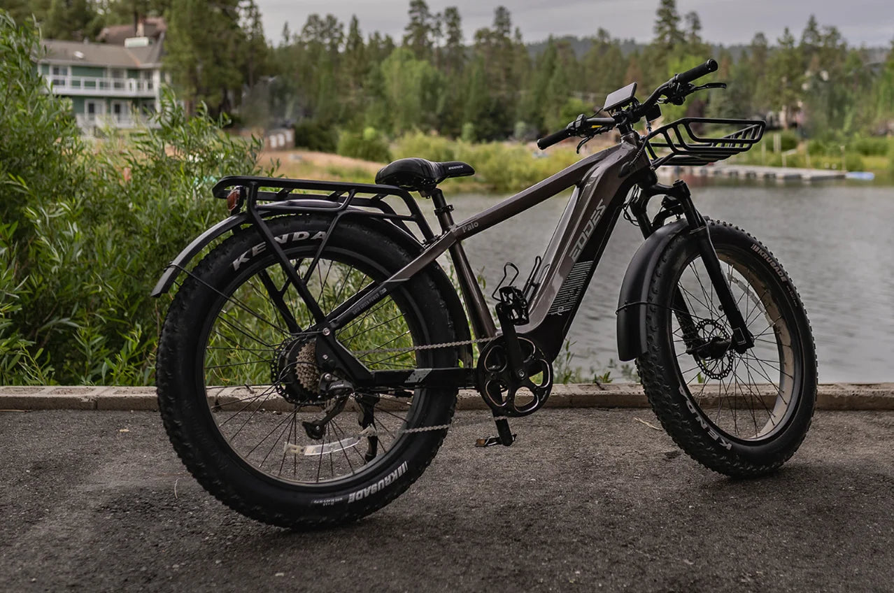 Adult front shock absorber Electric Bike