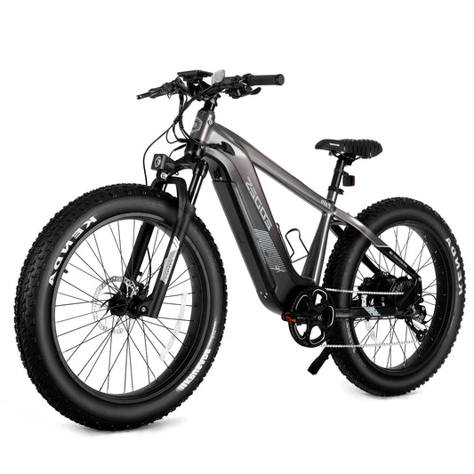 Adult front shock absorber Electric Bike