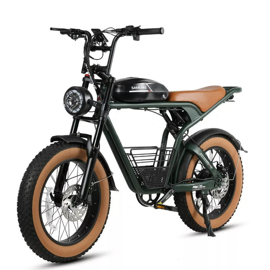 SAMEBIKE M20 Electric Mountain Bike